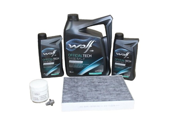 Wartungskit Ford 2,0 EcoBlue Diesel